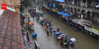 जुलैच्या दुसऱ्या सहामाहीत भारतातील बहुतांश भागात मान्सूनचा वेग कमी होऊ शकतो: IMD