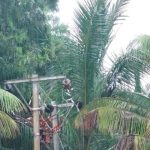 संततधार पाऊस, पाणी साचल्याने वीजपुरवठा खंडित झाल्याने रहिवाशांना त्रास सहन करावा लागत आहे
